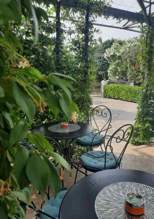 El Sol Apartmani, Bar