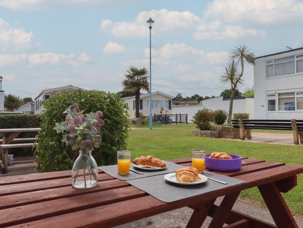 Dolphin Chalet Dawlish photo 6