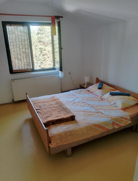 Apartman Borići - 5