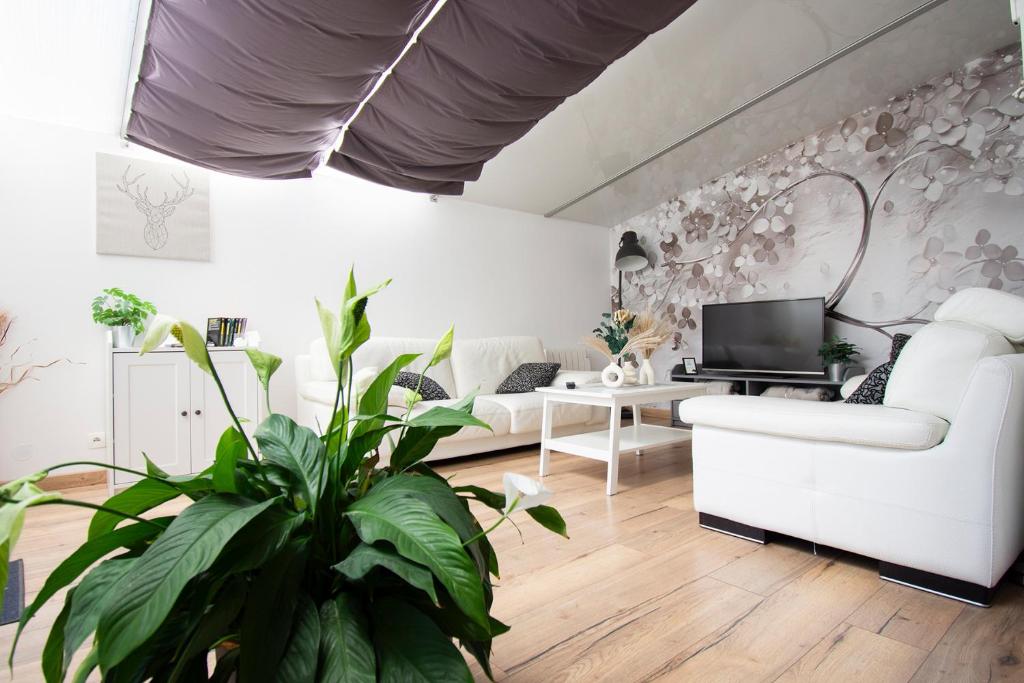 Gîte en Sologne - La Deniserie - 94m2 avec Garage, Romorantin