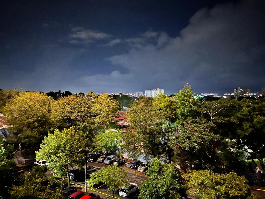 Ảnh 5