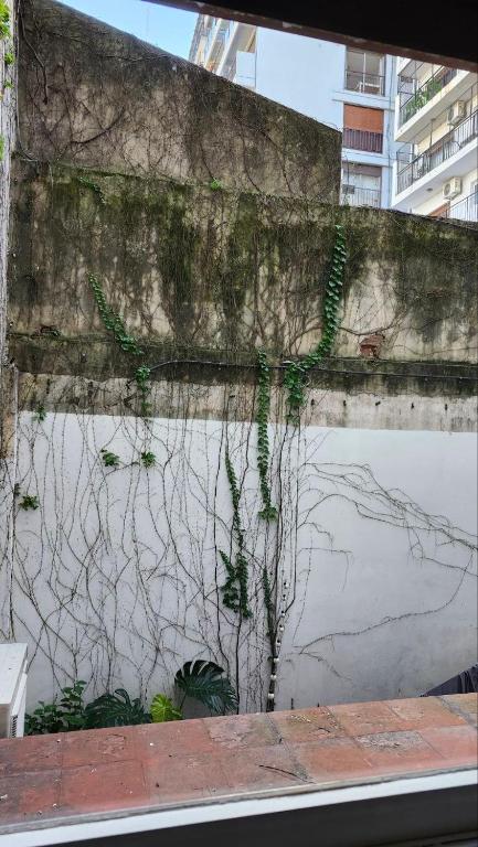 Depto 1 bedroom in Palermo - 2