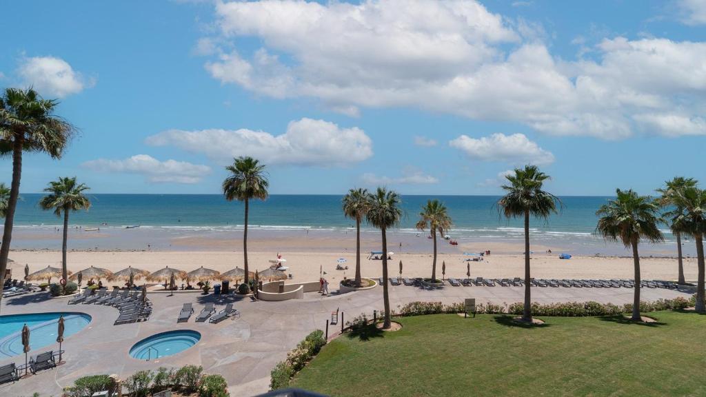 Sonoran Sea - 2