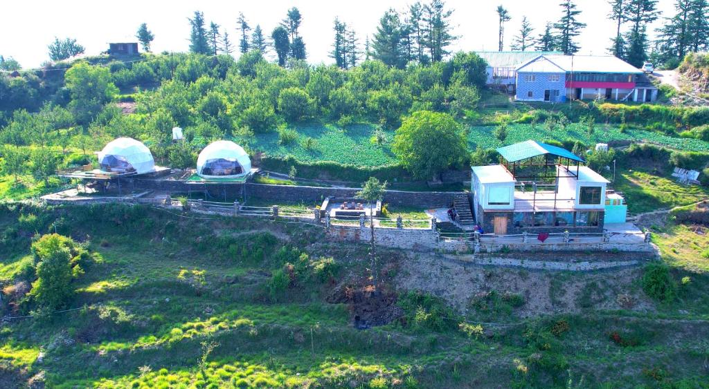 The Astro Orchard, Šimla
