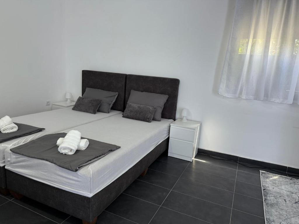 Stan na dan Nena Novi Sad - 3