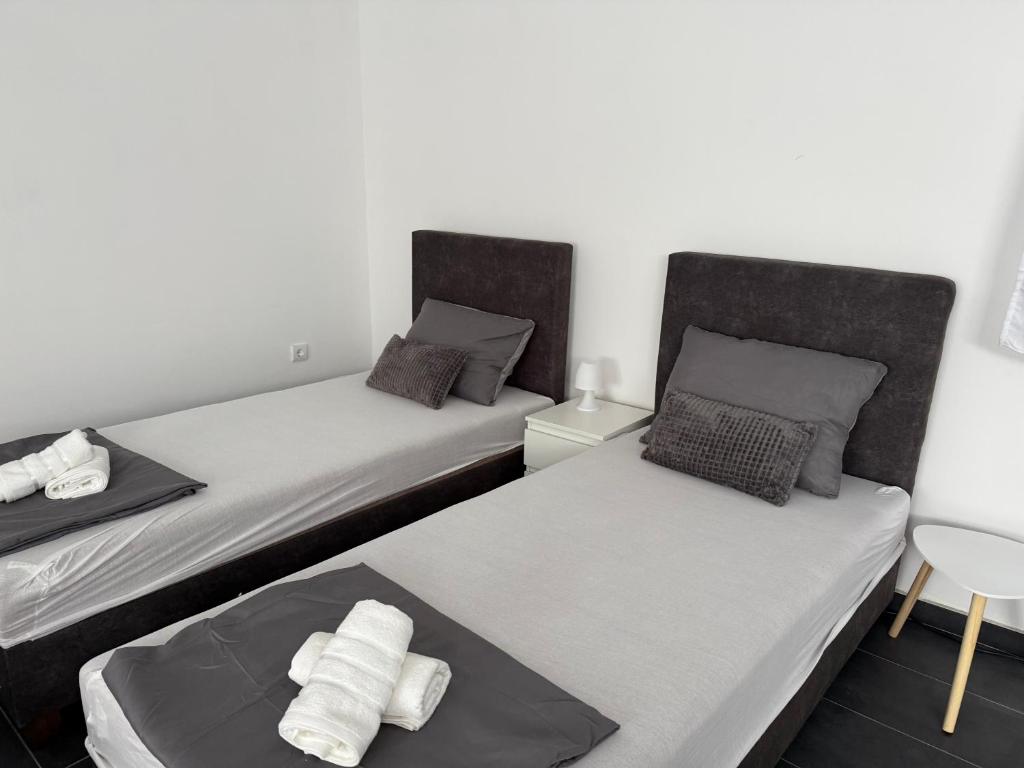 Stan na dan Nena Novi Sad - 4