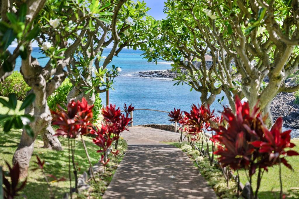 Alaeloa 35, Napili-Honokowai