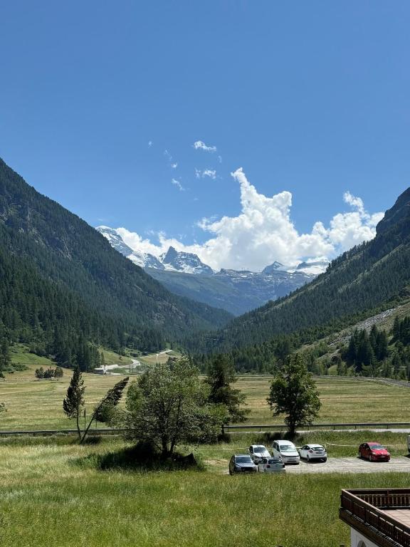 Gorgeous Modern Mountain View Flat in Täsch with free parking - 2