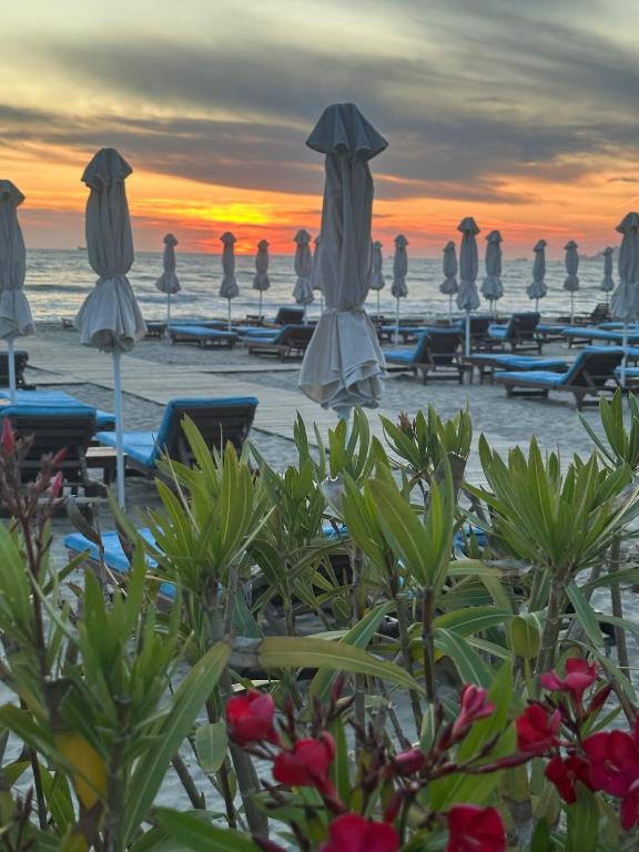 Mane Studio Apartment, Golem