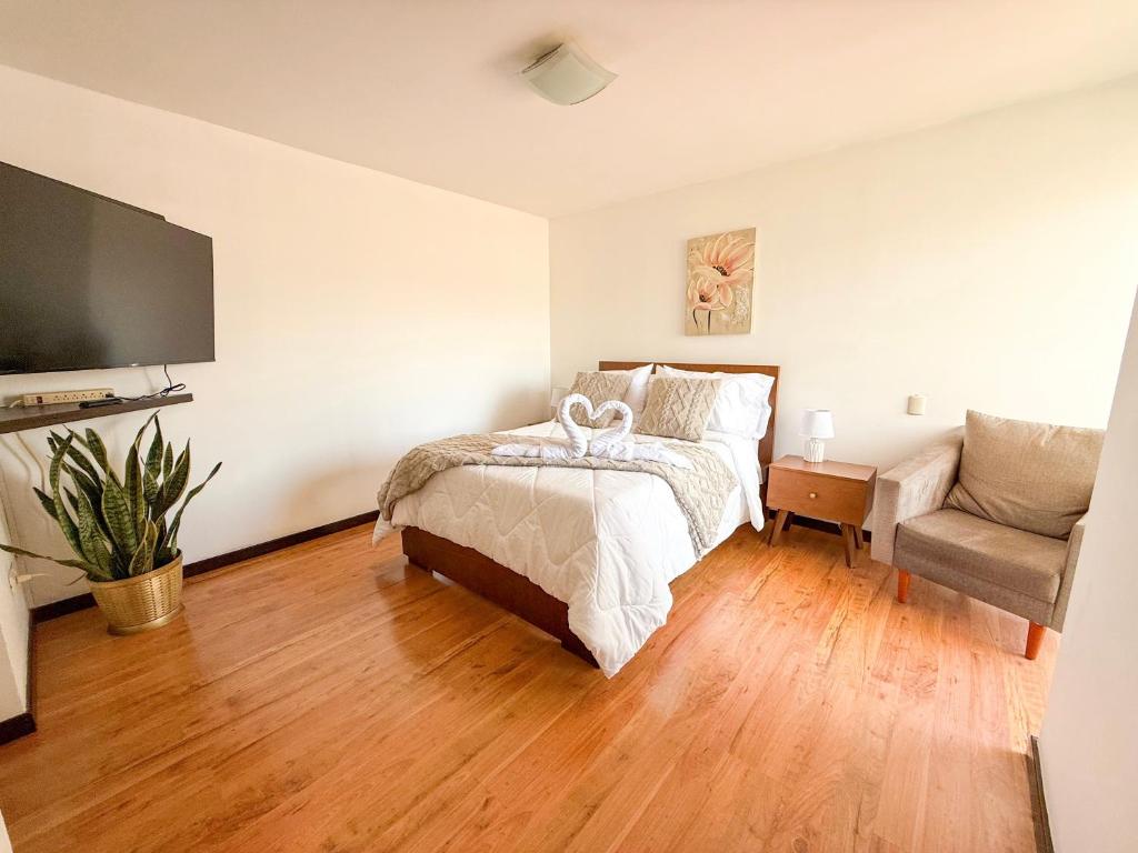 Botanic Apartment- A solo 12 minutos del Centro - 2