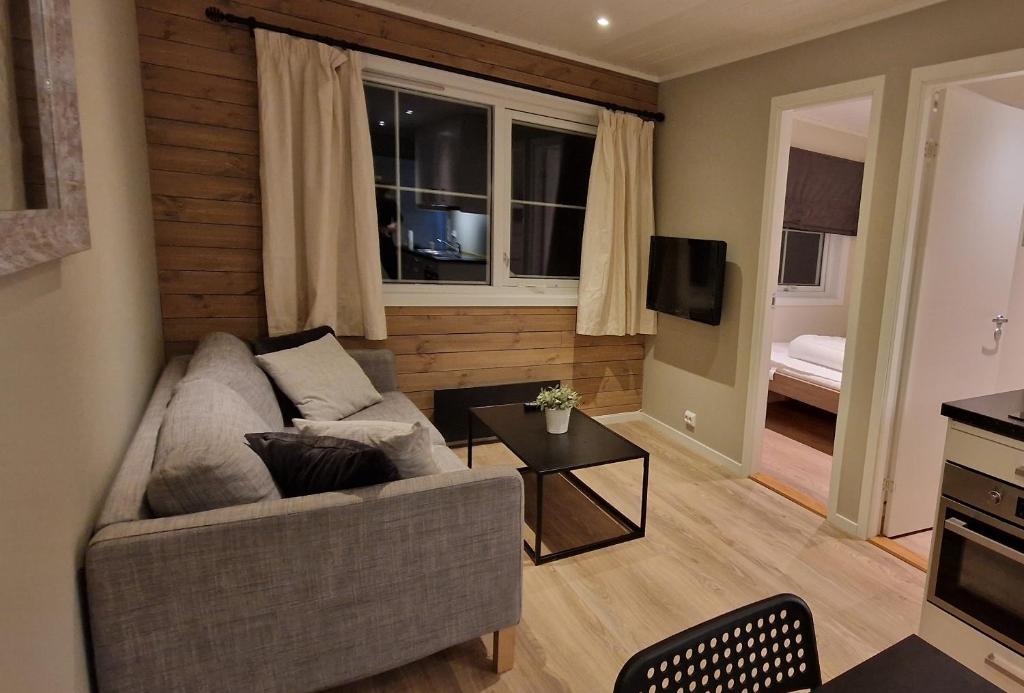 Newly renovated apartment Gautefall, Drangedal