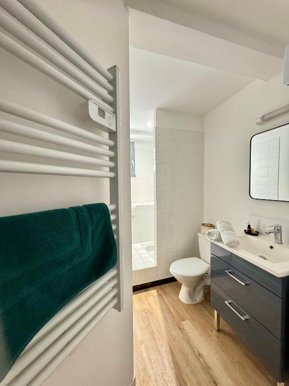 Charmant appartement cité Médiévale - Pont Vieux - 4