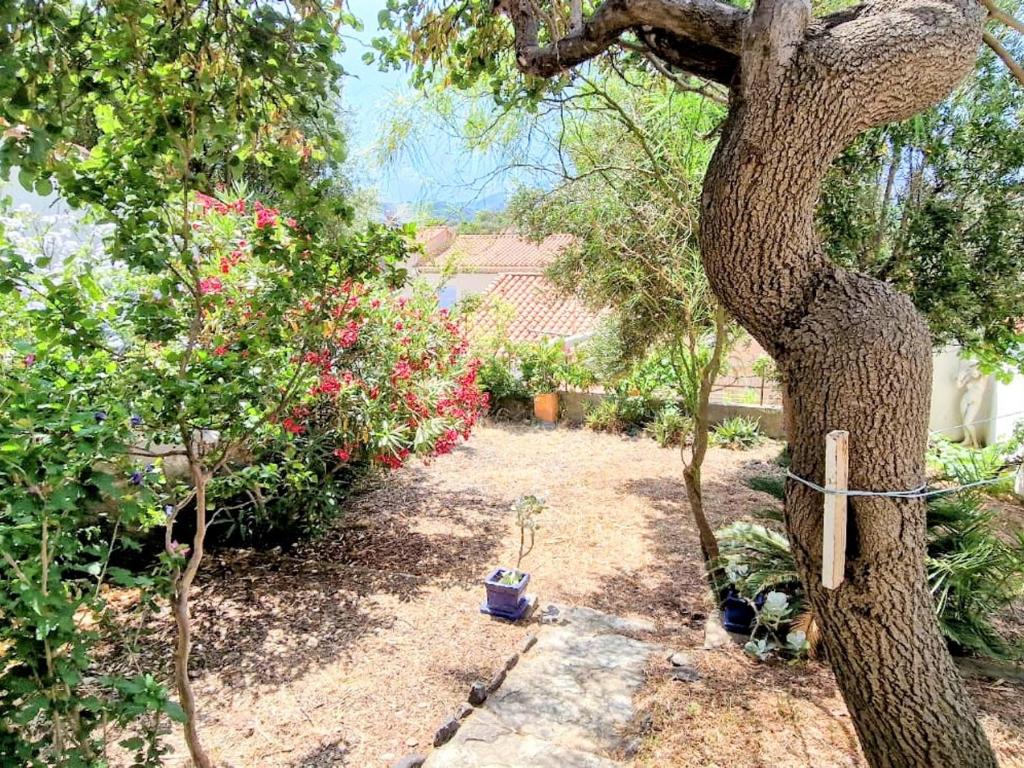 Appartement T3 avec jardin à Banyuls, parking inclus - FR-1-309-35 - 2