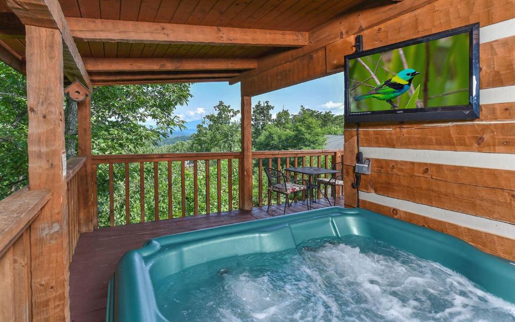 A Mountain Hibernation, Sevierville