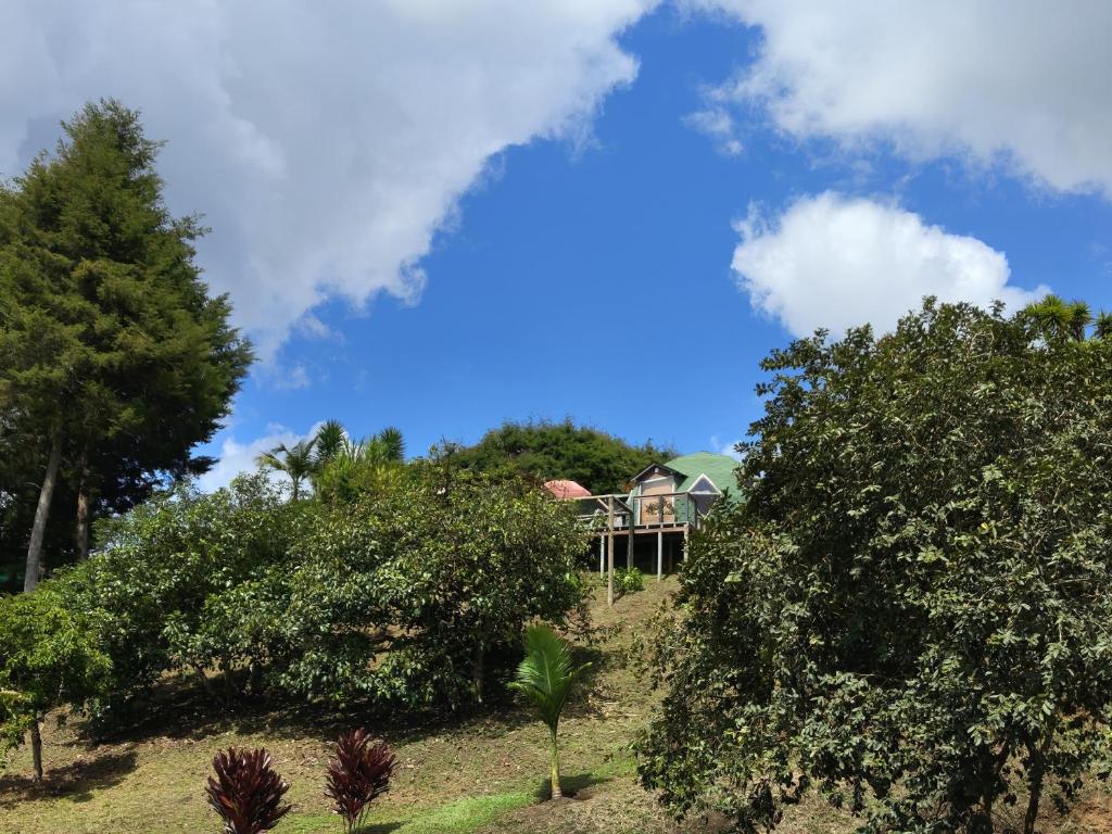 Vitta Glamping - 3