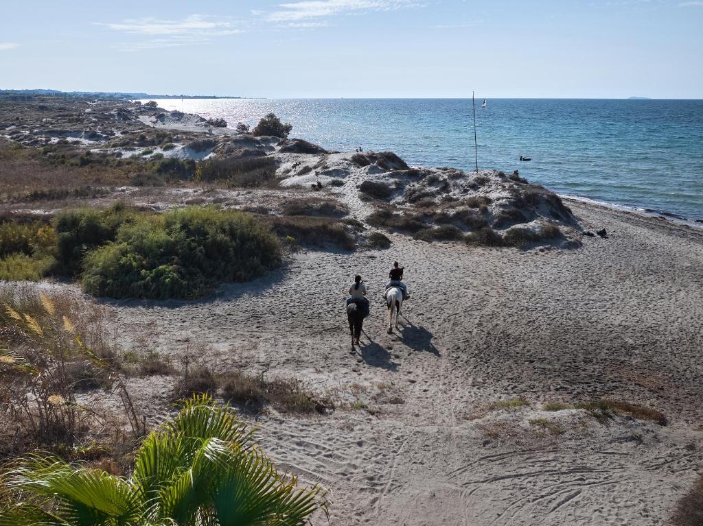 アクティビティ