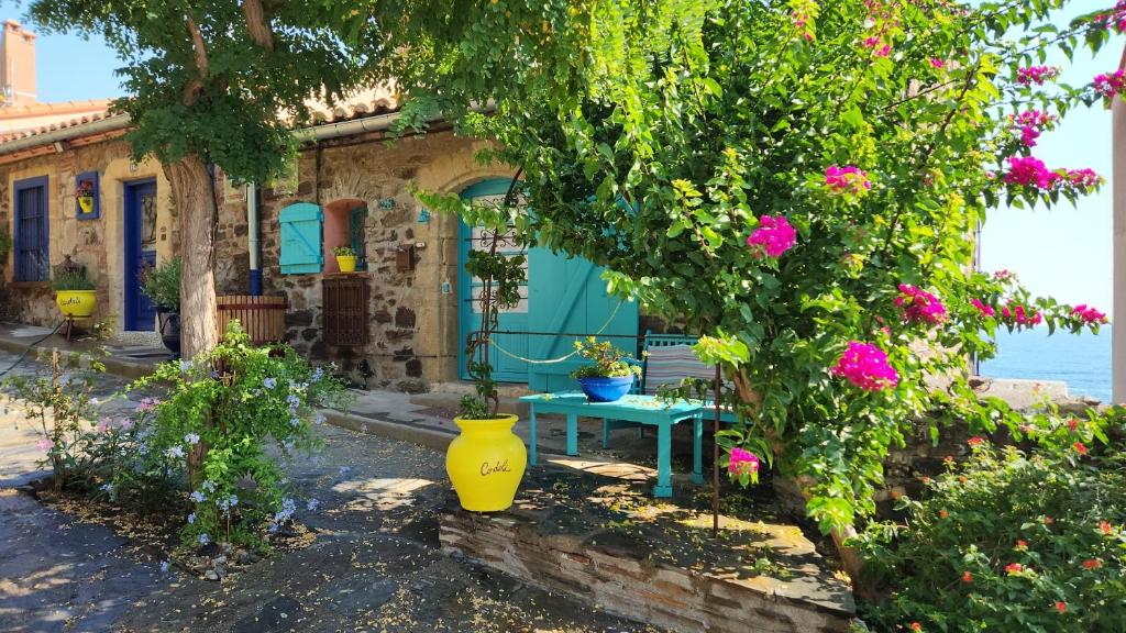 Maison sur la roche, vue mer exceptionnelle, quartier des peintres, calme, clim et wifi, parking privé, plages à pied - 2
