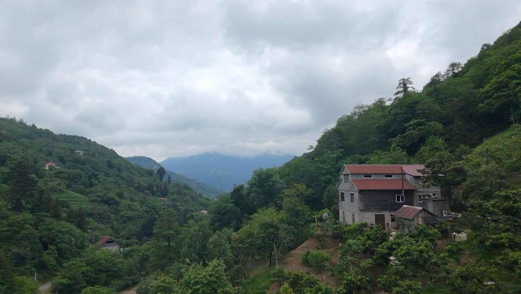 In the Forest, K'vemo Jocho