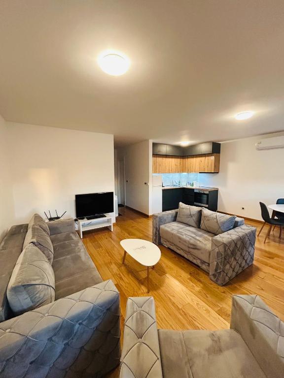 Magenta Zvezdara - 1