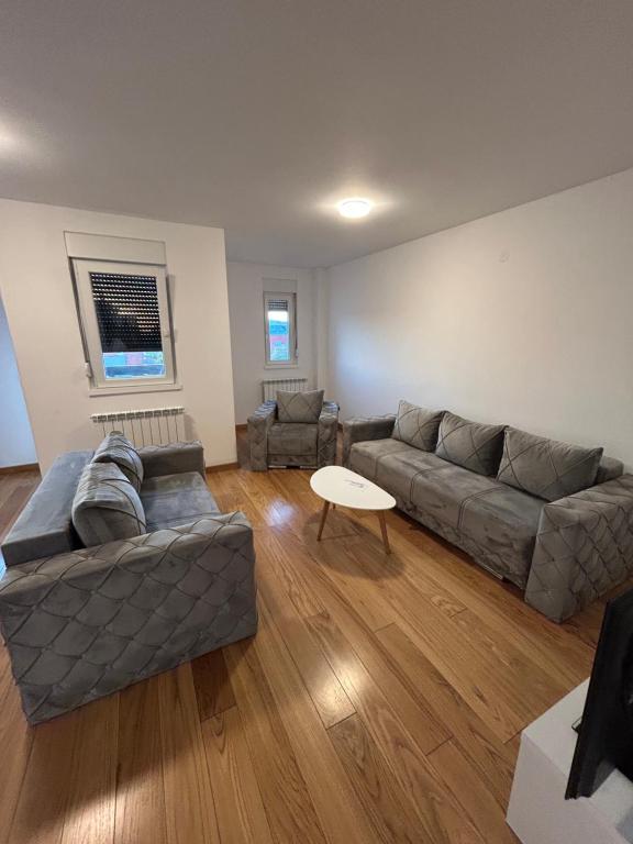 Magenta Zvezdara - 3