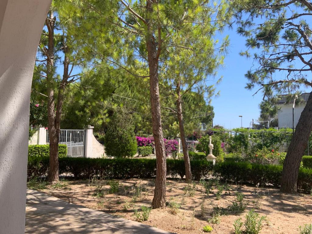 Villa Gandoli - Appartamento Coccinella - 4