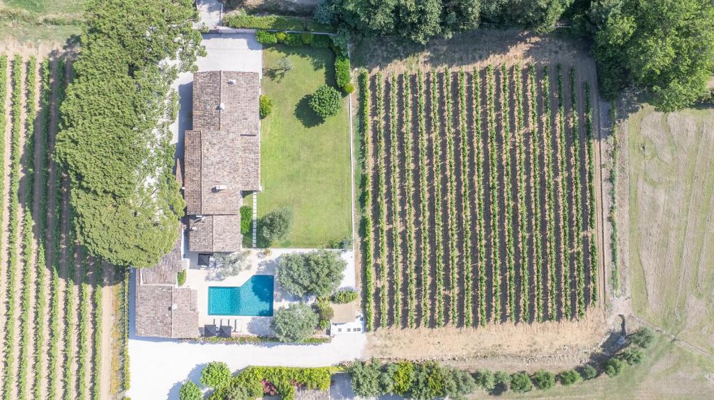 JAMES FCD56 - luxury villa with pool for rent in the vineyards near Saint Tropez - 2