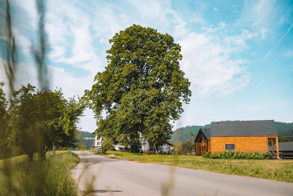 Lindenhof Chalets - 4