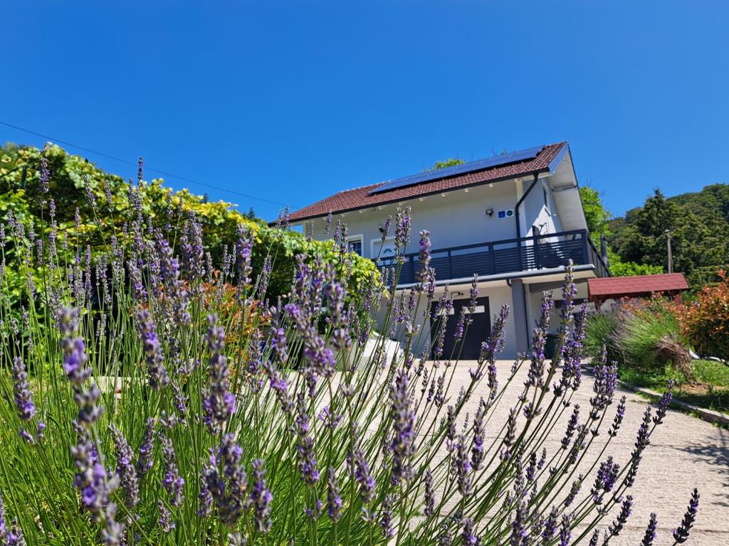 Jakop Hof, Krapinske Toplice