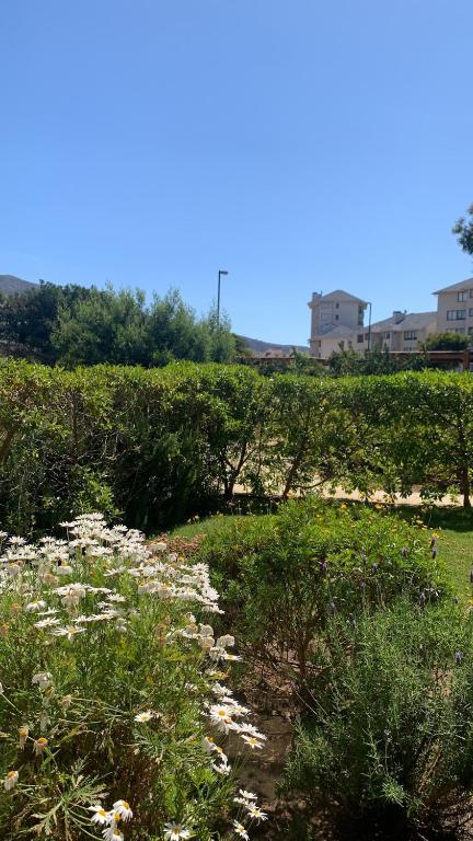 Departmento en Punta Puyai, Condominio Brisas de Puyai - 3