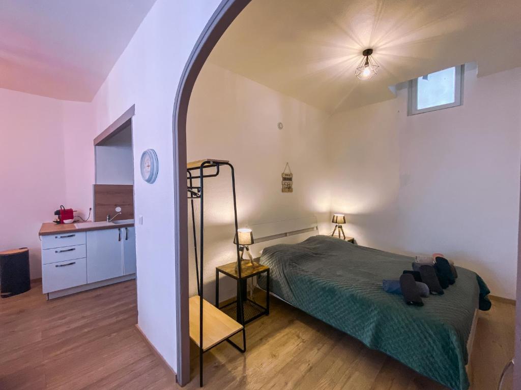 Bel appartement Béziers - Plain-pied - Centre - IUT - 3