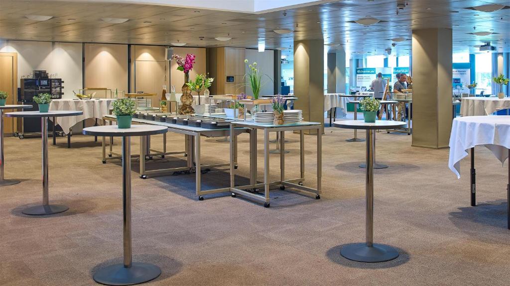 Săli de conferințe / săli de festivități