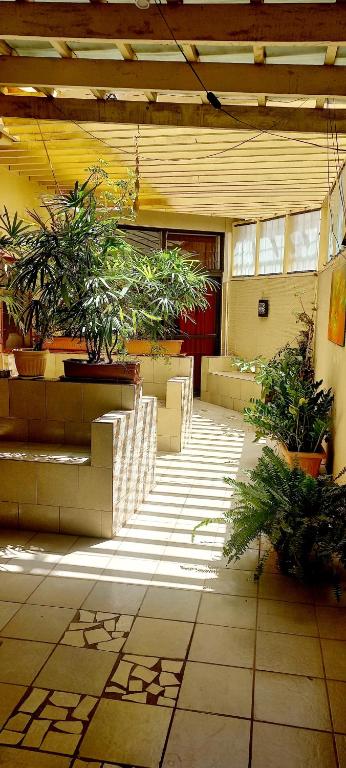 Balcony/terrace, Busy Bee Apartments in Kololi