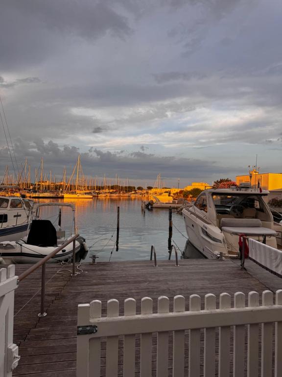 Marina Port Camargue - 2