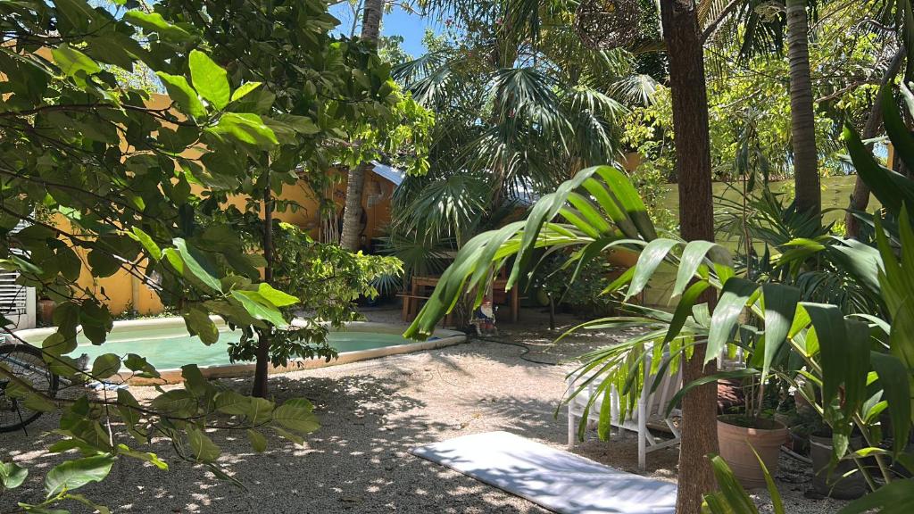 Quinta Salamandra - 2