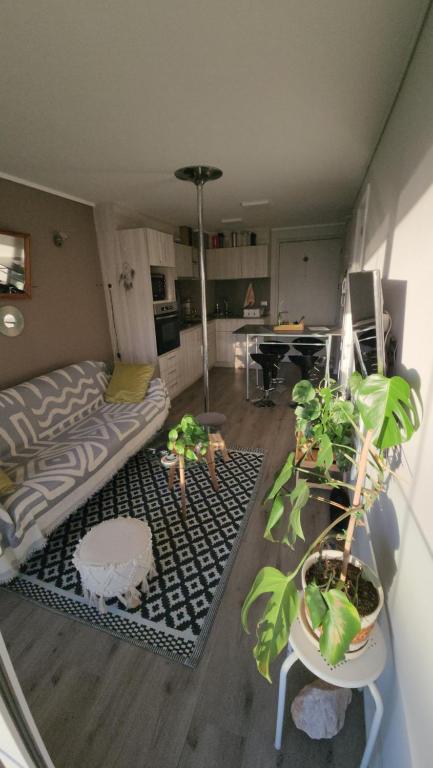 Cozy and nice apartment - 4