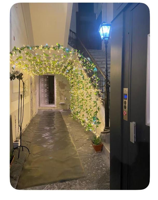 casa marlu - 2