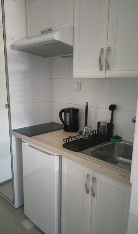 Ogi apartment Beograd - 2
