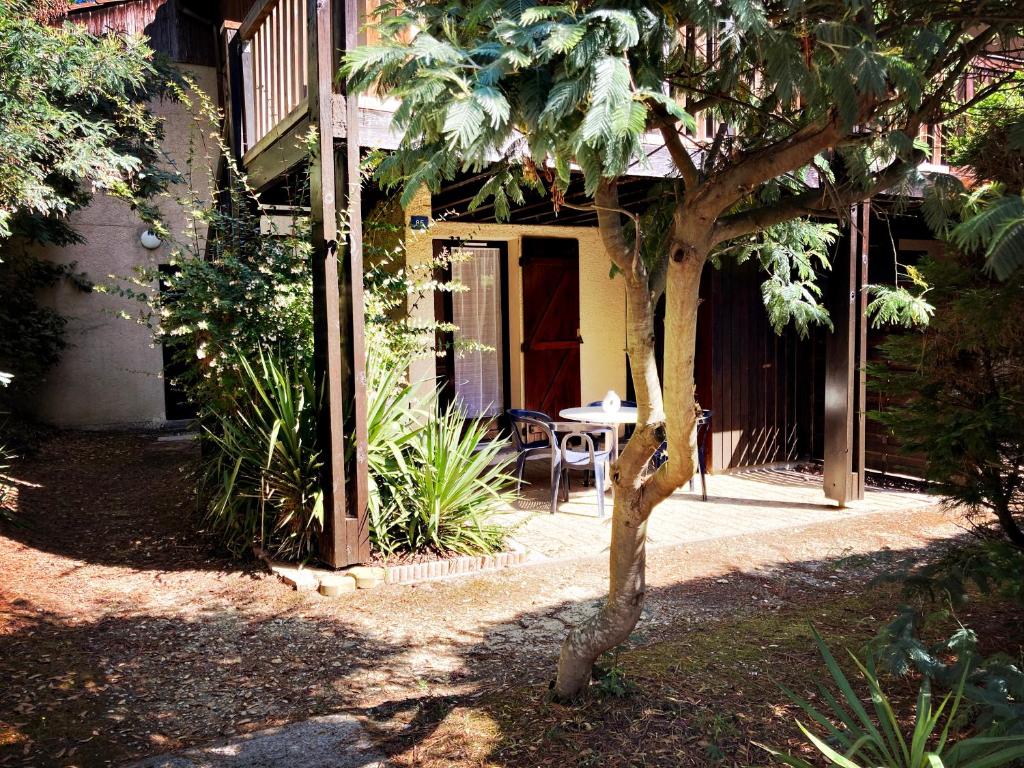 Ocean & Chill, Lacanau