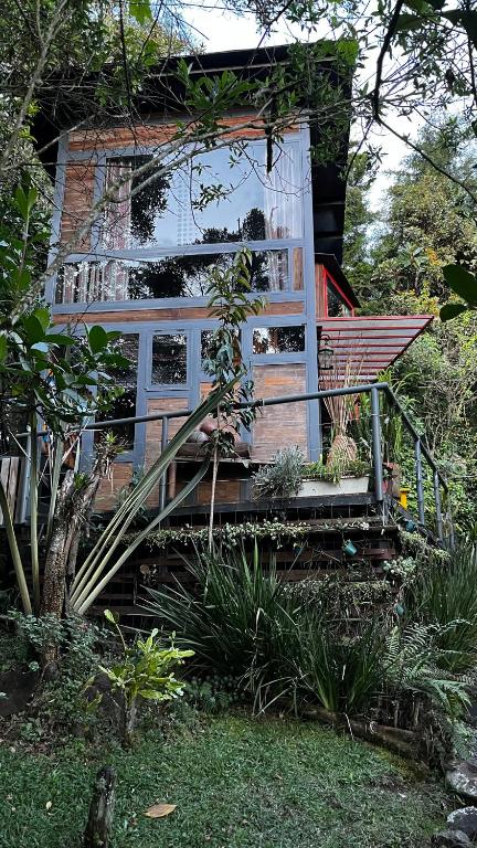 Ancestral habitad - 2