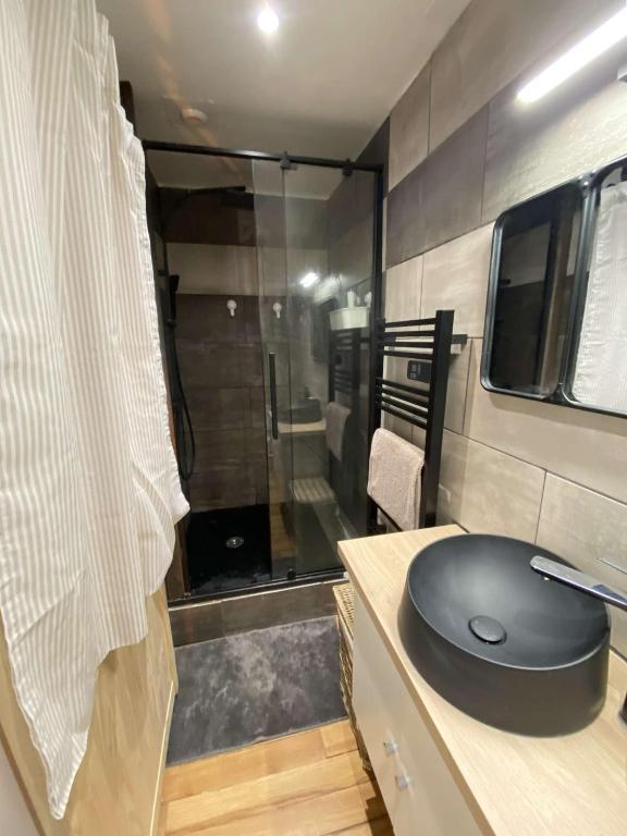 Très beau studio avec mezzanine - 3