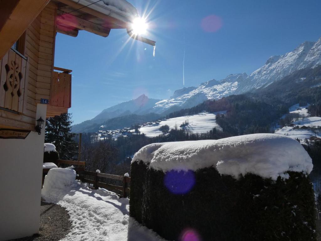 chalet Noyer - Domaine du Fraizier - 3