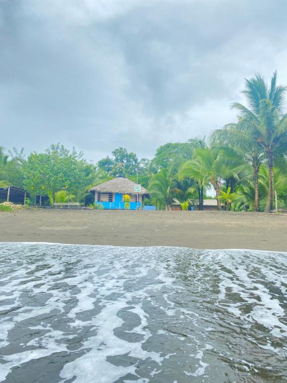 Perla del cabo, Arusí