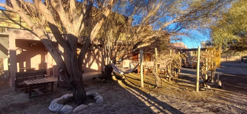 Cabañas Dunas de Fiambalá - 5