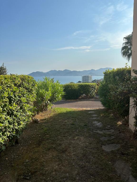 Renoir 252 - Appartement rez-de-jardin type F2 - Petite vue mer - 4