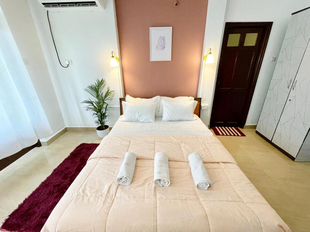 The Driftwood Dan Studio Flat WiFi colva, Colva