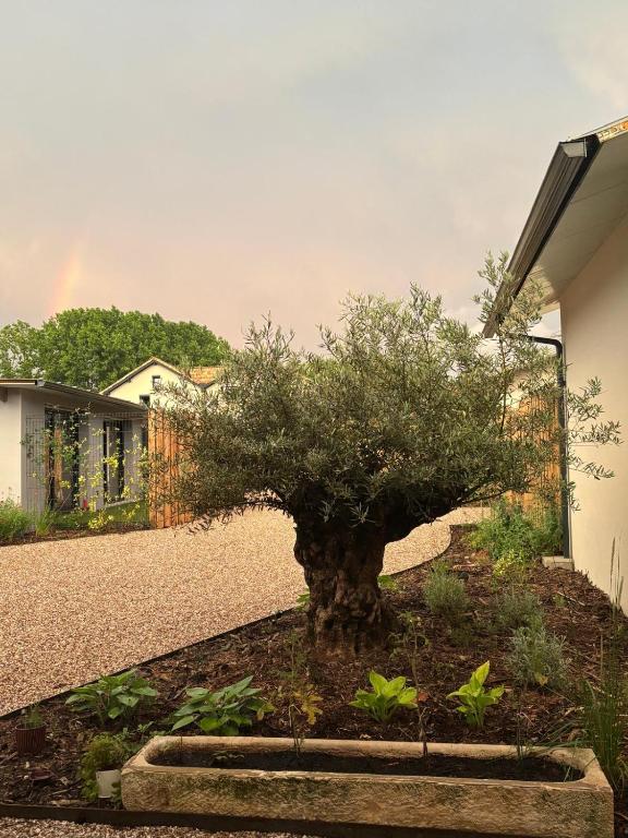 DACSE-VILLAGE - Gite 01 - 2