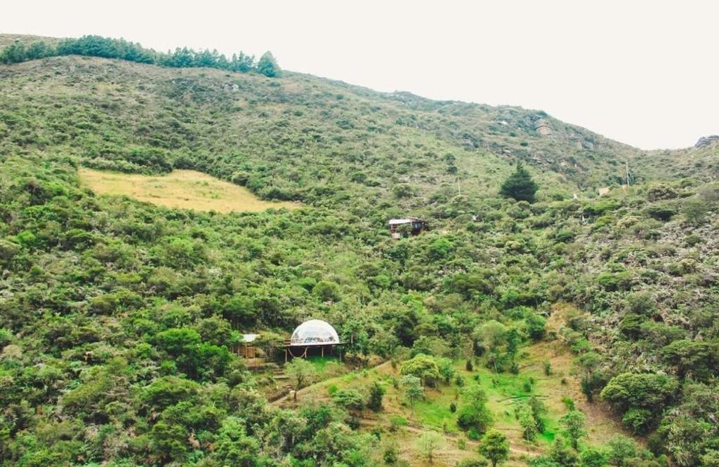 Soulmate Glamping - 4