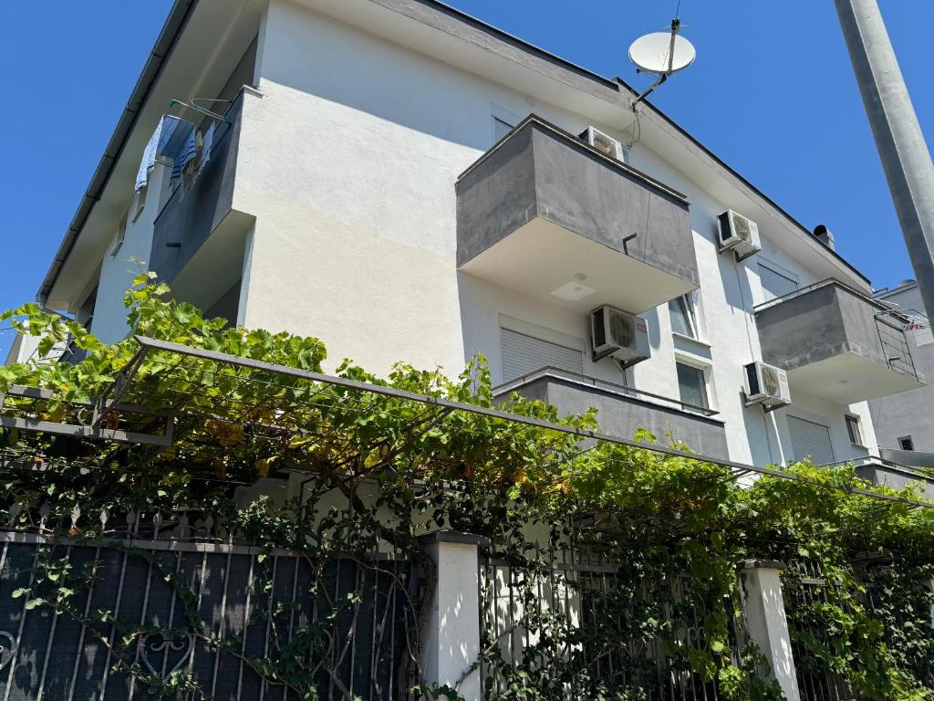 Apartments TRI SRCA, Sutomore