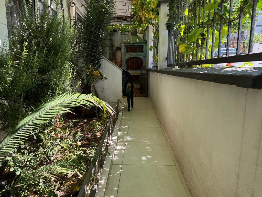 Apartments TRI SRCA - 5