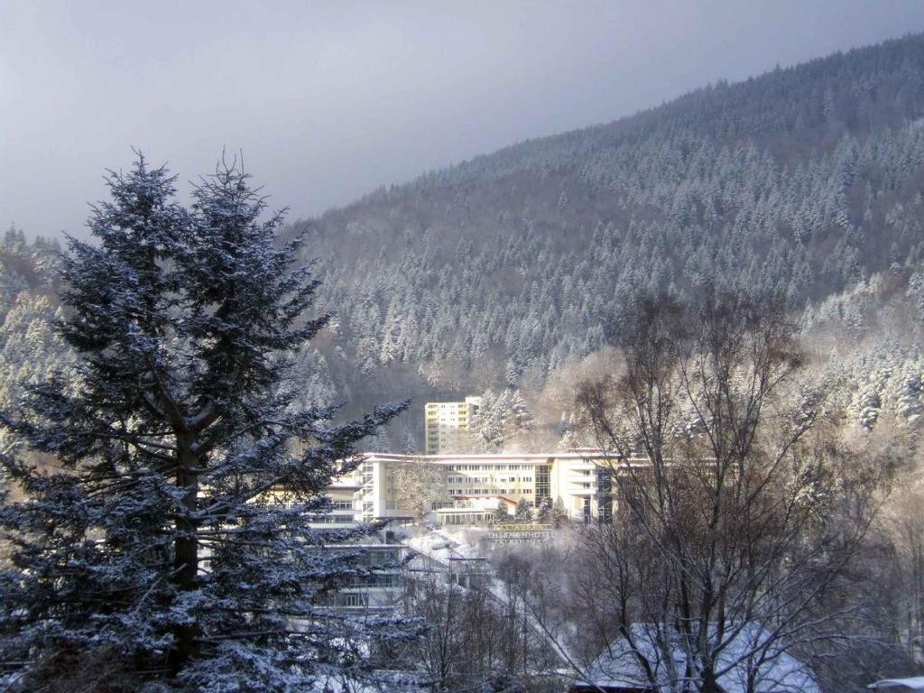 Ferienwohnung Dunleavy 전경